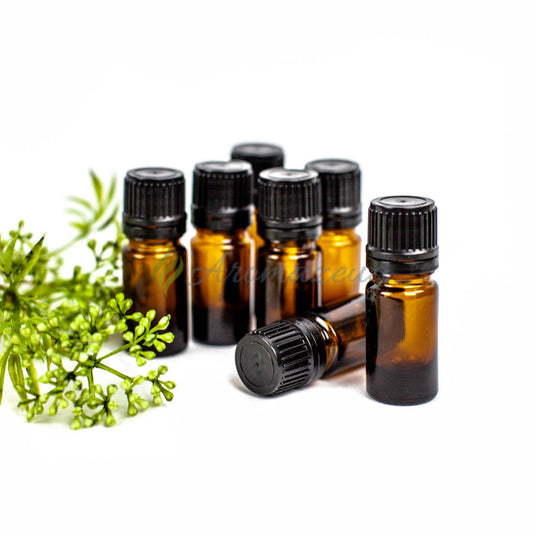 5 Ml Braunglasflaschen Mit Tropfverschluss - Paket Von 10 Glassflaschen