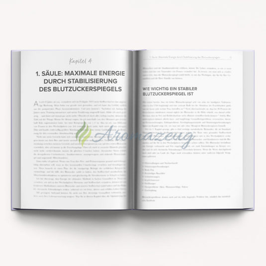 NEU!!! Perimenopause-Power von Dr. Mariza Snyder - Bücher