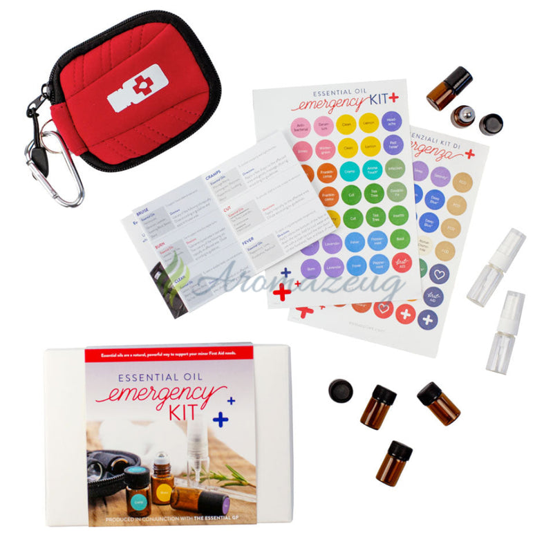 Laden Sie das Bild in Galerie -Viewer, Emergency Kit (Aufbewahrungstasche Flaschen Erste-Hilfe Broschüre &amp; Aufkleber) ENGLISH Zubehör
