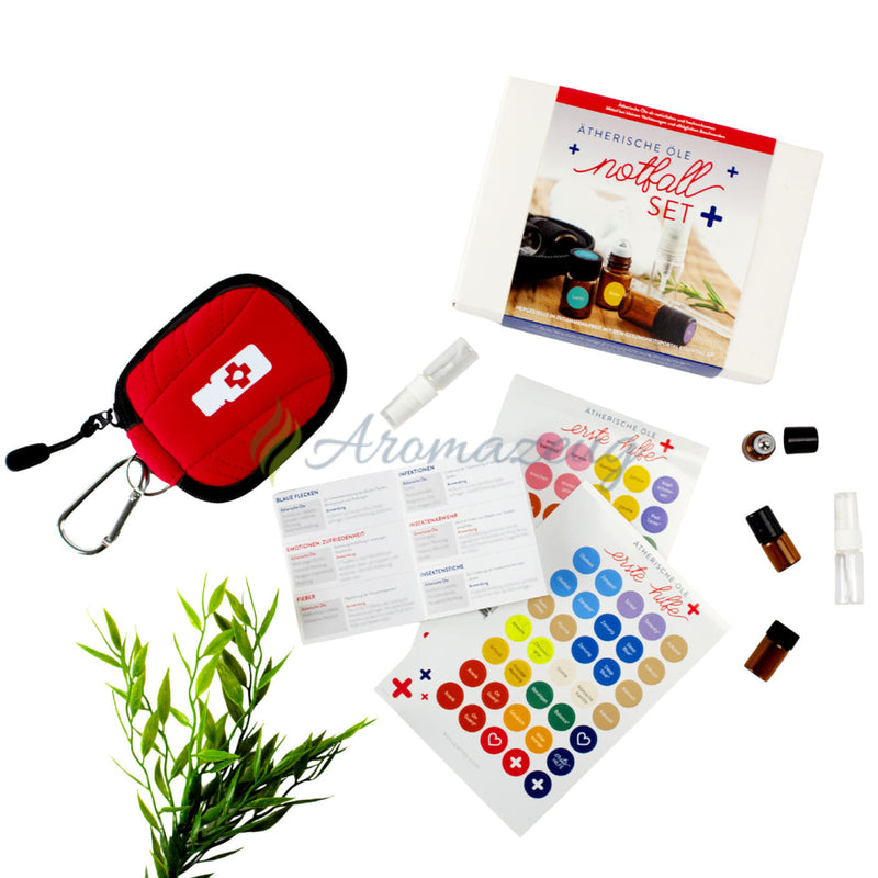Laden Sie das Bild in Galerie -Viewer, Erste Hilfe Kit (Aufbewahrungstasche Flaschen Erste-Hilfe Broschüre &amp; Aufkleber) Deutsch Zubehör
