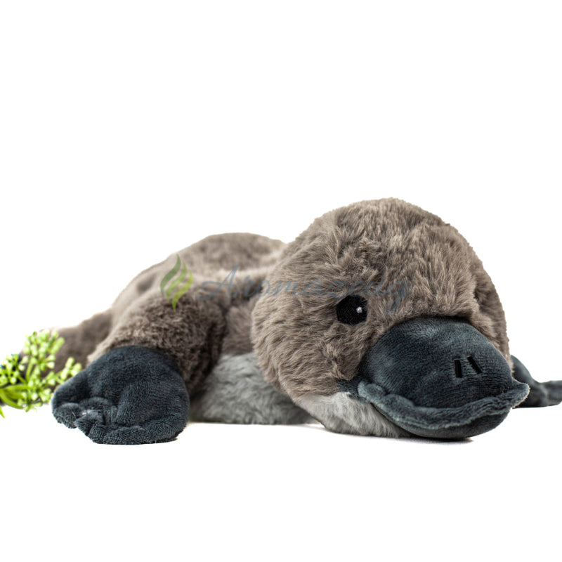 Laden Sie das Bild in Galerie -Viewer, Warmies® Schnabeltier Mit Herausnehmbarer Hirsekorn-Lavendel-Füllung Zubehör
